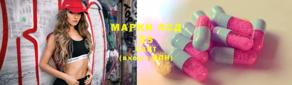 таблы Бородино