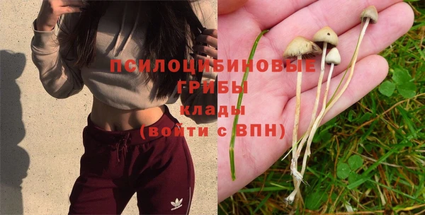 jwh Богданович