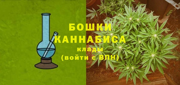 таблы Бородино