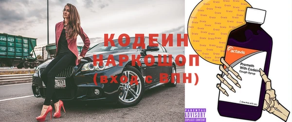 таблы Бородино