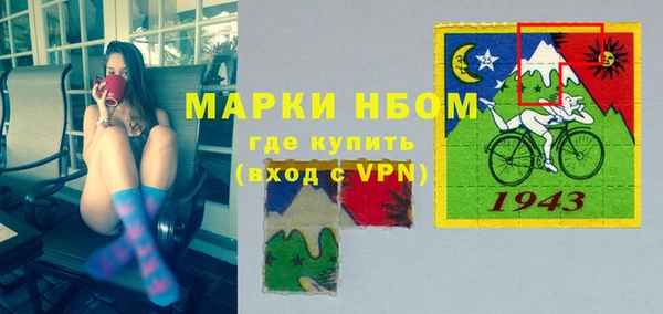 таблы Бородино